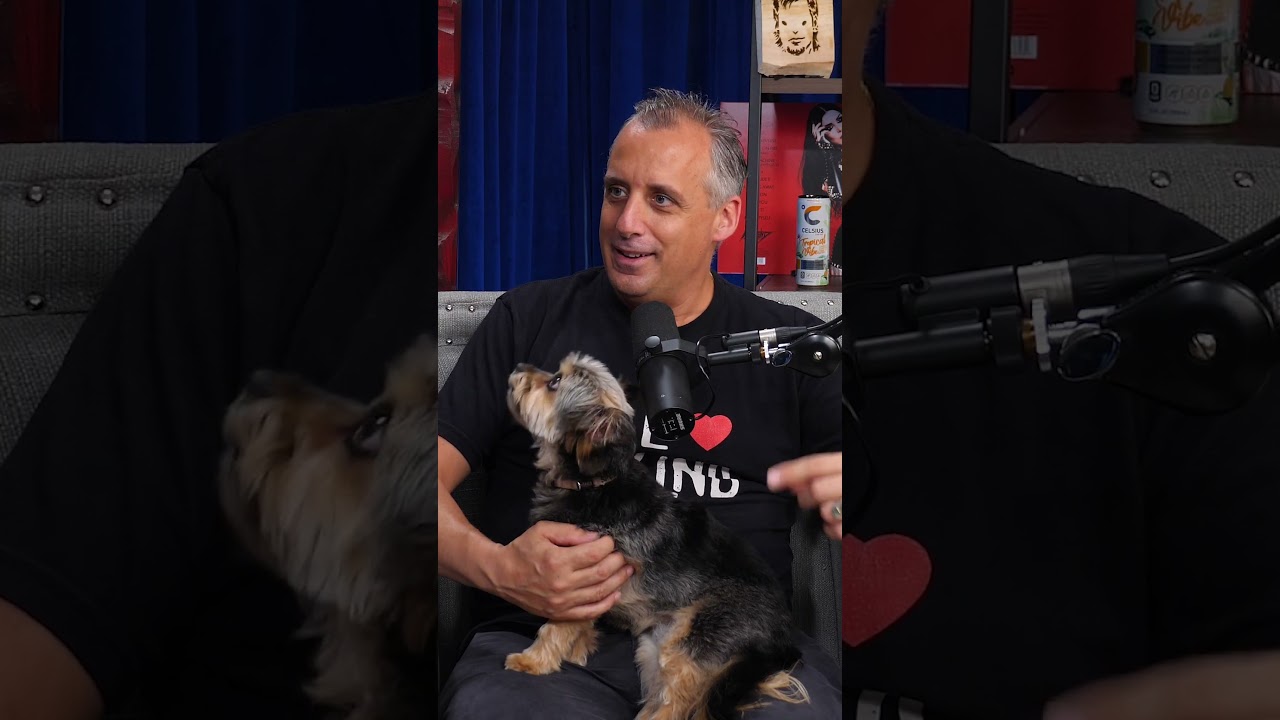 Joe Gatto on where he stands with the Impractical Jokers