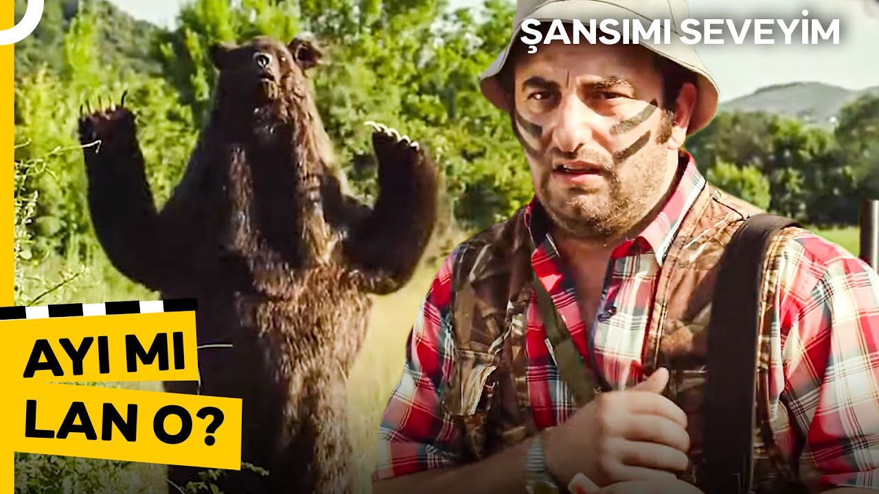 Tavşan Diye Çıktık Ayı Saldırdı | Şansımı Seveyim