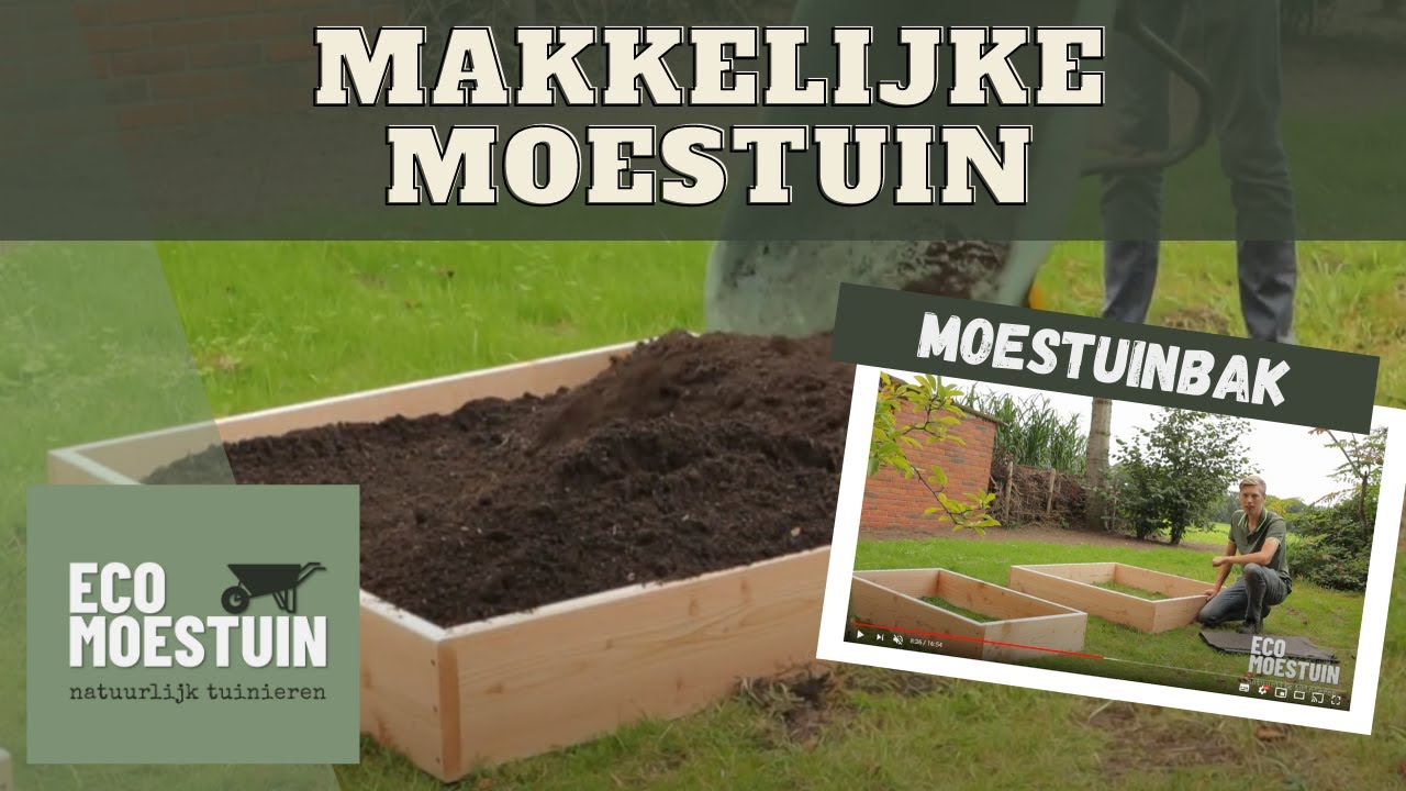 Makkelijke moestuin beginnen met moestuinbak