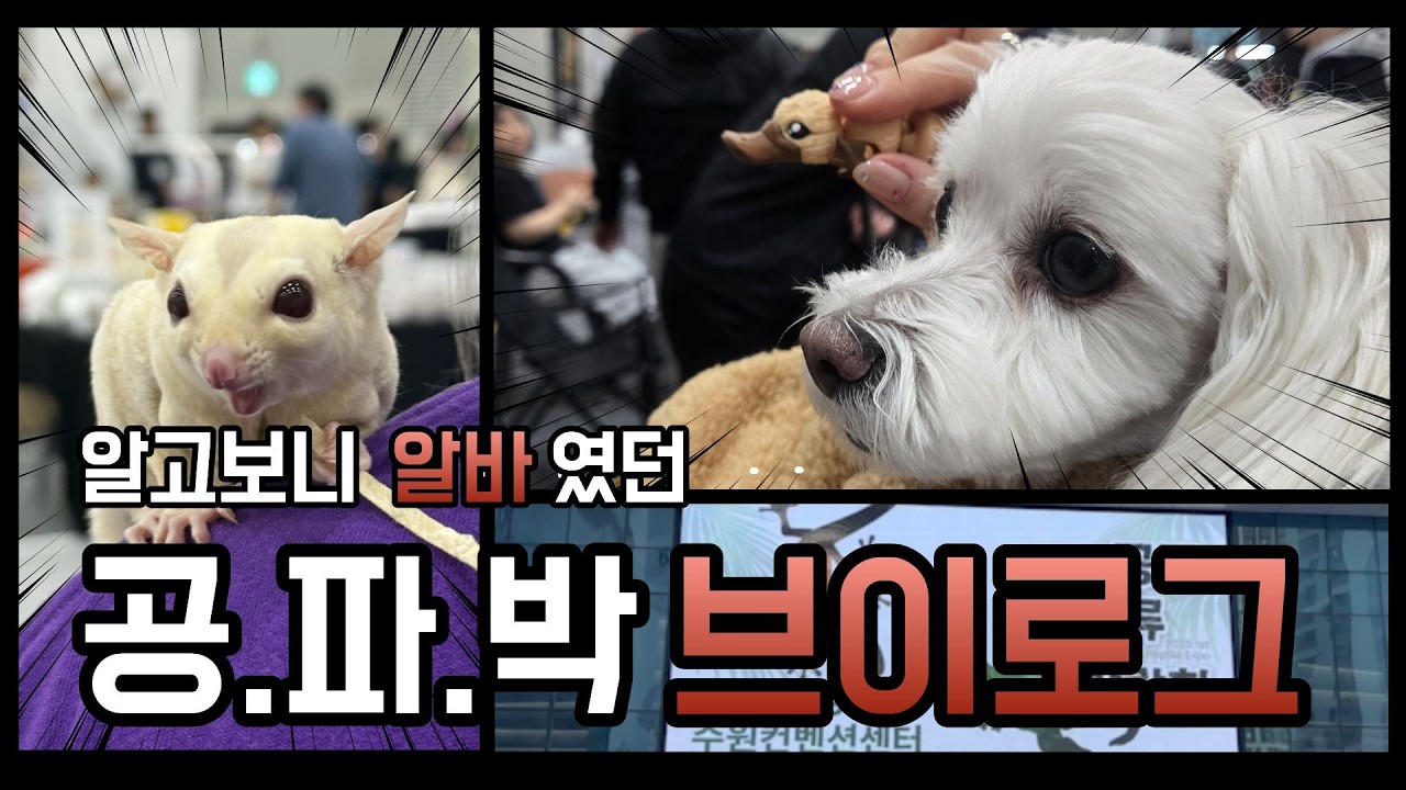 2025 1회 공룡파충류박람회 (알바) 브이로그