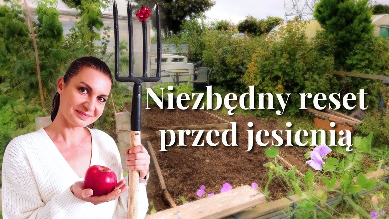 Ogród zarasta a szklarnię rujnuje wiatr – biorę urodzinowe widły i zaczynam od nowa. Jesień w kuchni