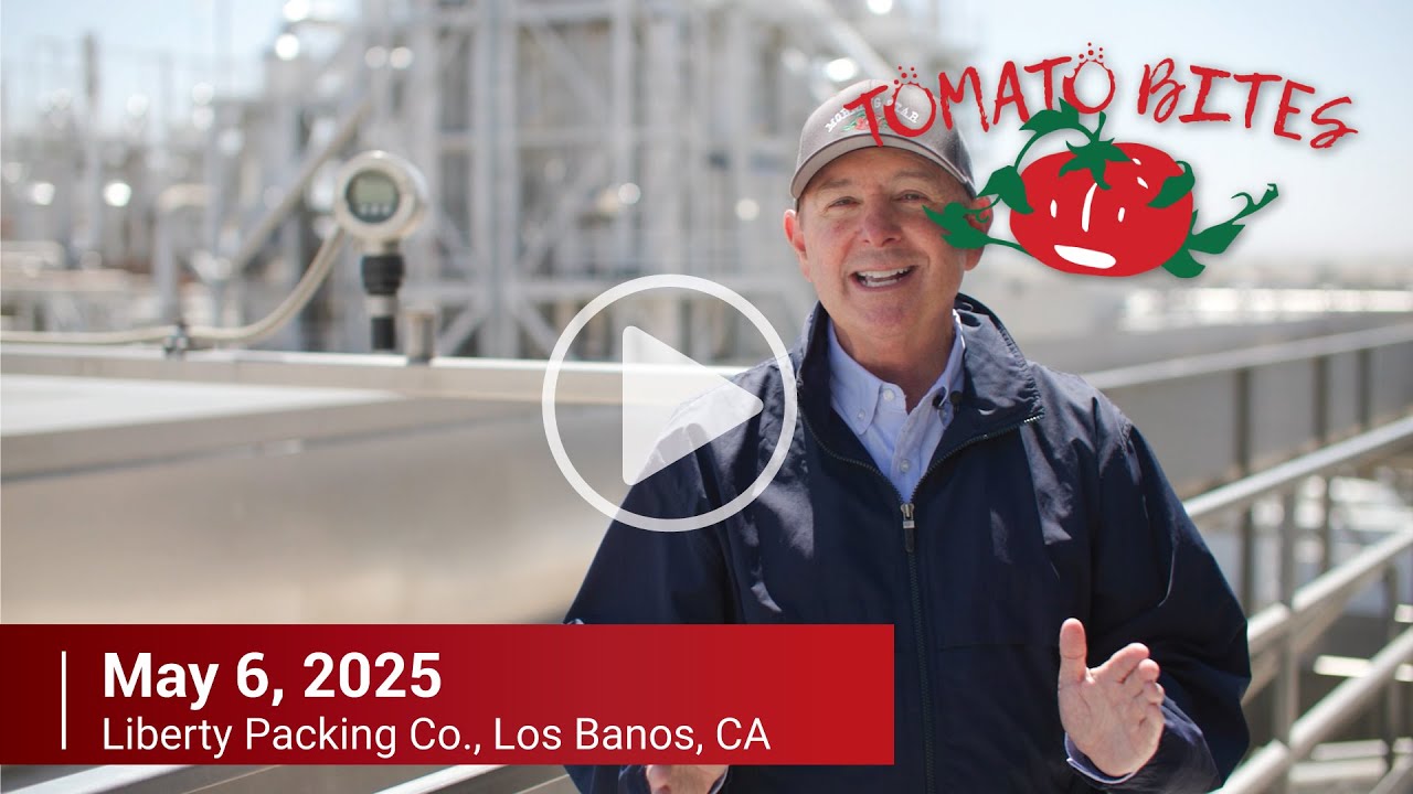 TOMATO BITES by Morning Star – May 2025 Release