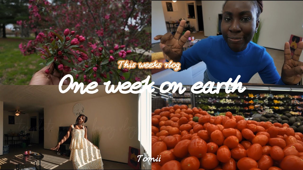 Weekly Vlog