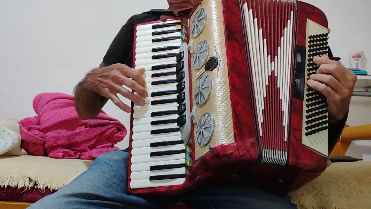 XIMENES sanfoneiro.#sanfona#xote#forró#festas#nordeste