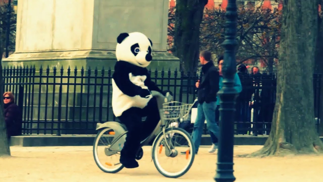 WWF : 