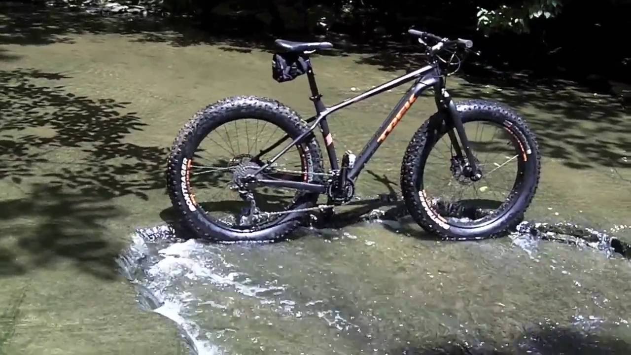 Farley 5 - In The Woods