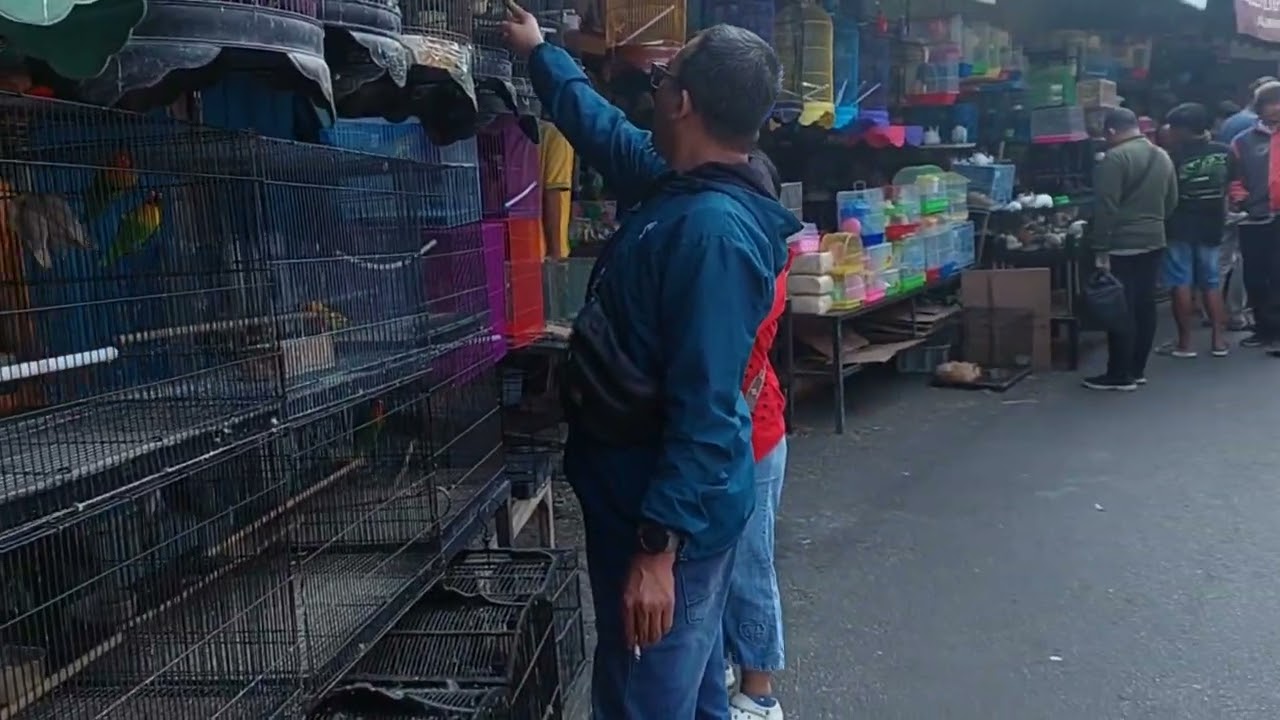 Pasar hewan terbesar di malang | splindid