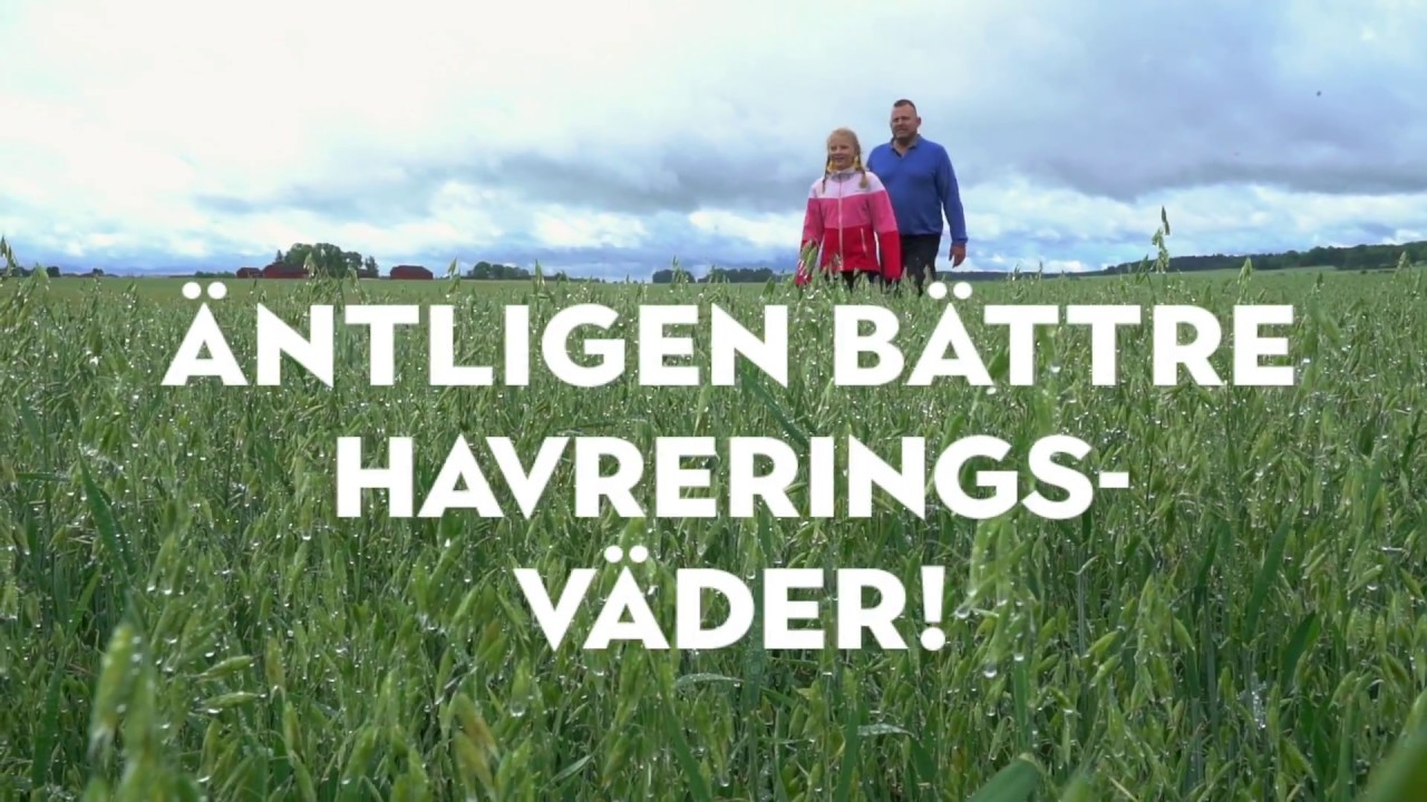 Frebaco &ndash; Havrets v&auml;g till kvarnen &ndash; del 3