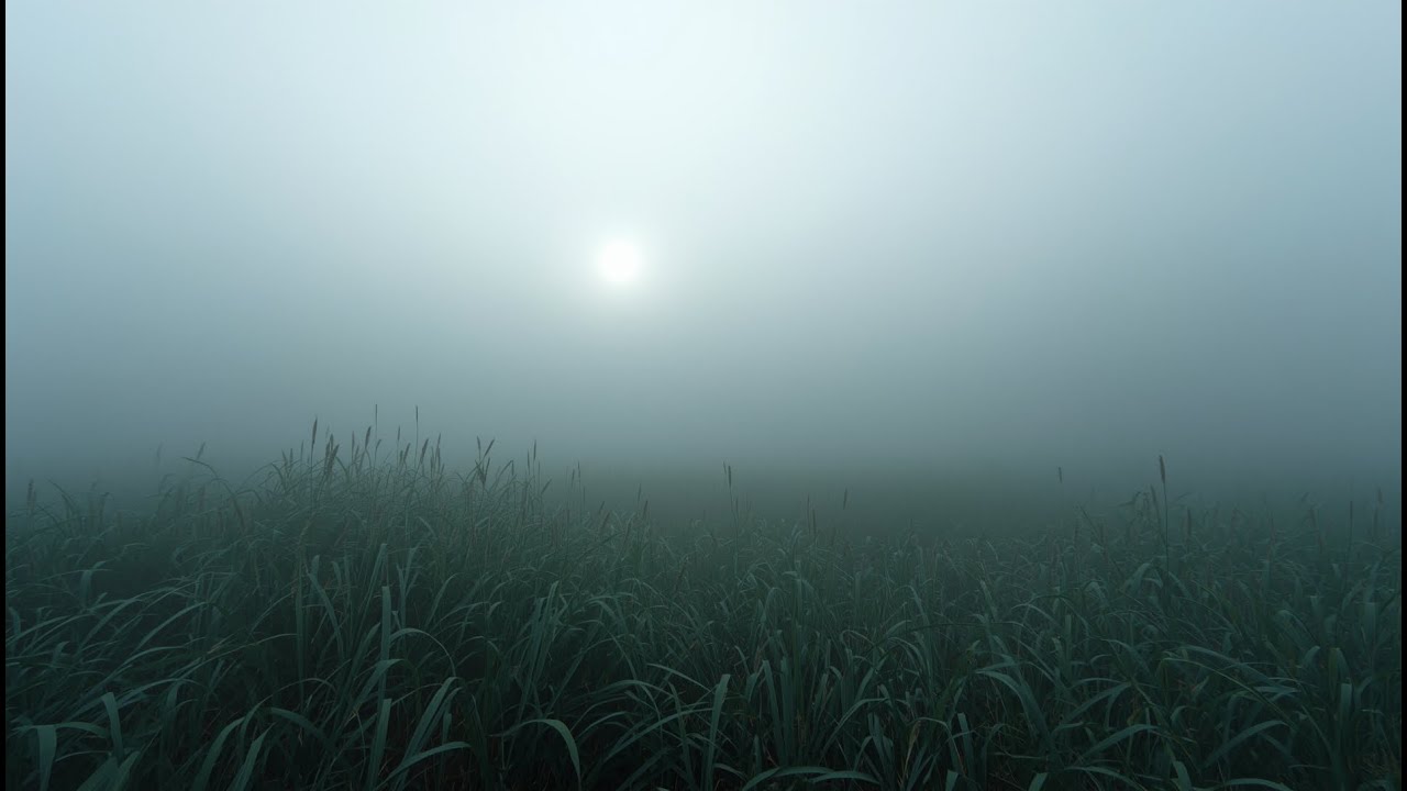 Middle BGM 0080 #SSS #lofi #relax  #音楽 #癒し #BGM