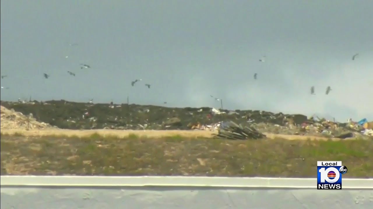 Ex-trash chief warns of impending landfill crisis in Miami-Dade