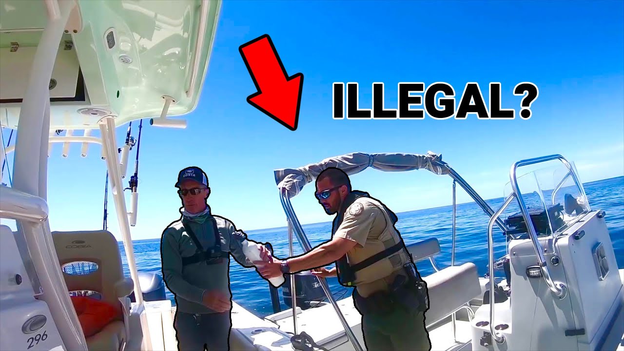 FWC OFFICER Thought We were Keeping ILLEGAL Fish!