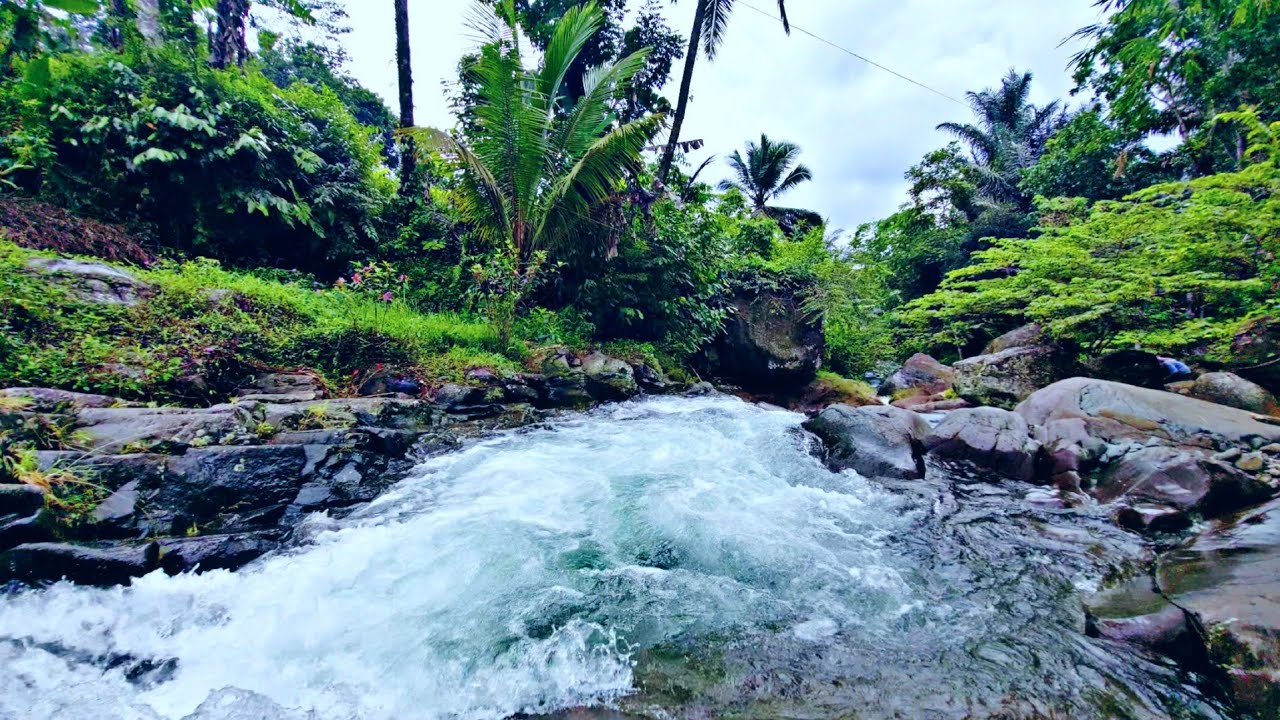 Flowing River Ambience for Focus & Study | Calm Natural Water Sounds