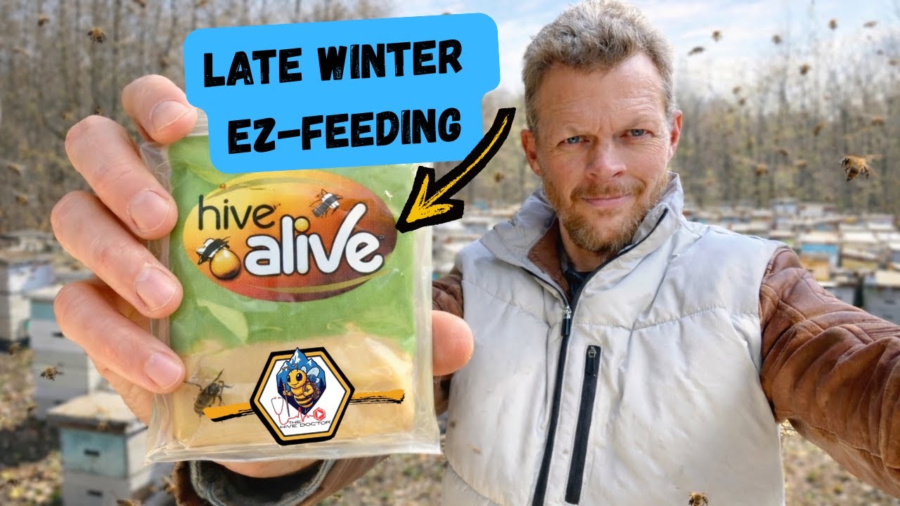 Конфета из мастики HiveAlive по доступной цене