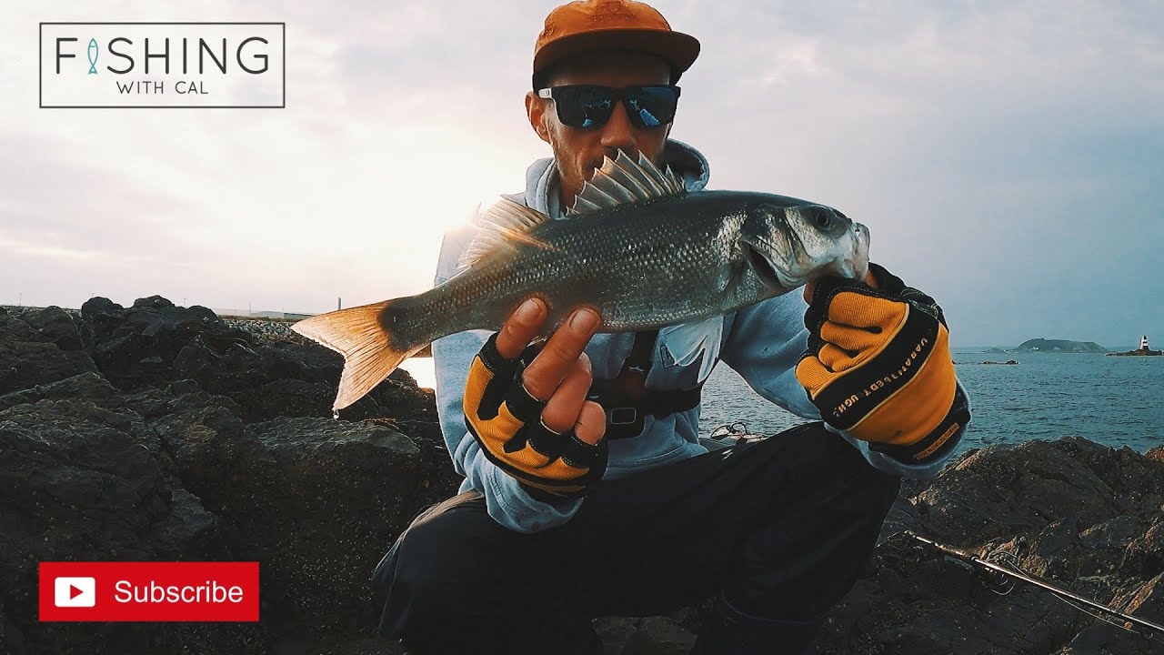 LURE FISHING FOR BASS | PATCHINKO 140 | TOPWATER BASS FISHING
