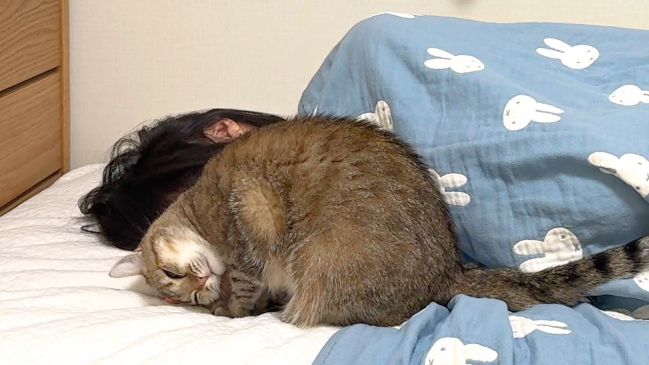 夜になると不安なのか、妹から離れなくなりました…