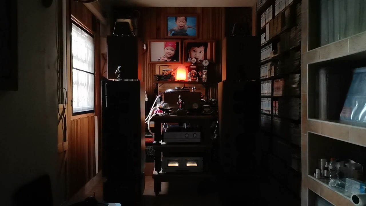 Audiophile analog collection vol.2 : side 1 on vinyl