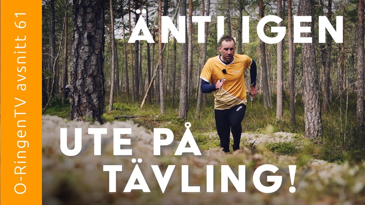 #61 TRE faser du måste ha koll på när du tävlar