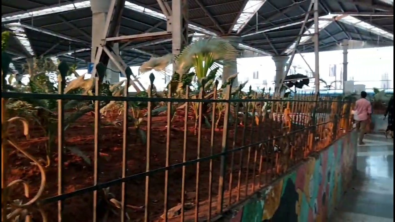 PANVEL JUNCTION RAILWAY STATION 🚉 | CINEMATIC VIDEO 📸 | CREATIVE BY @sahil._9024_