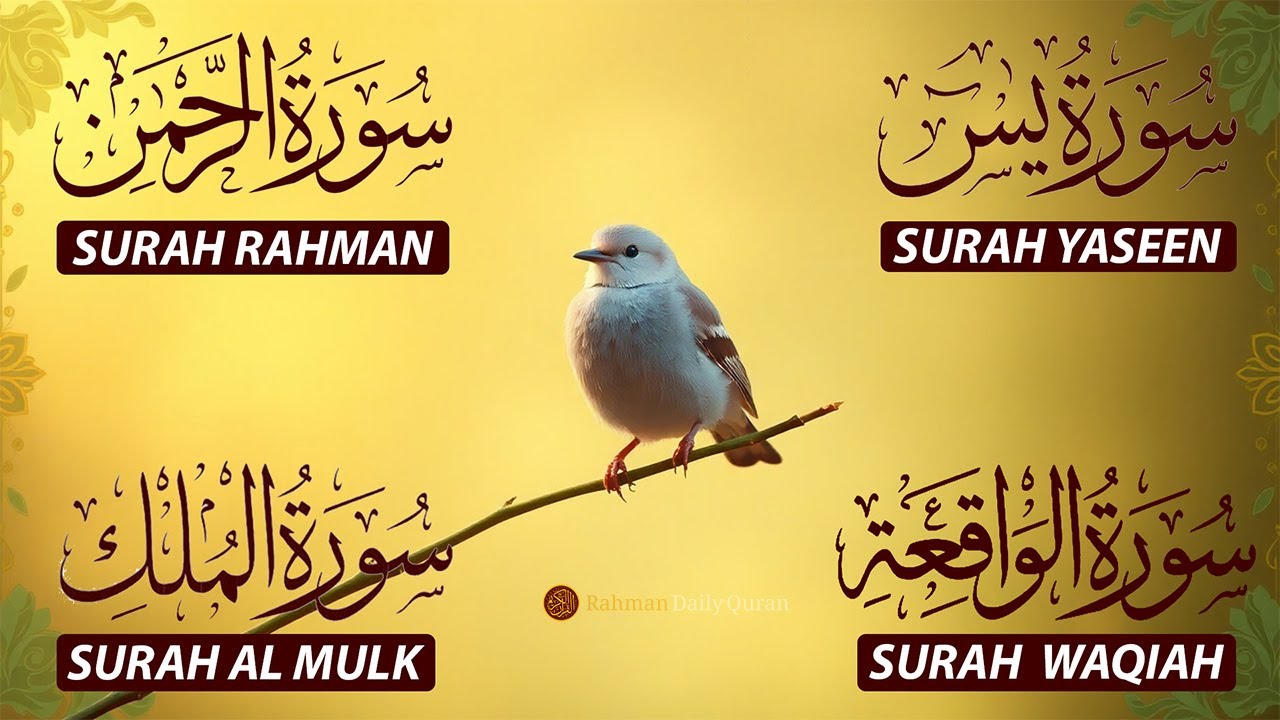 The Best Recitation Surah Yaseen (Yasin) | Surah Rahman | Surah Waqiah | Surah Mulk