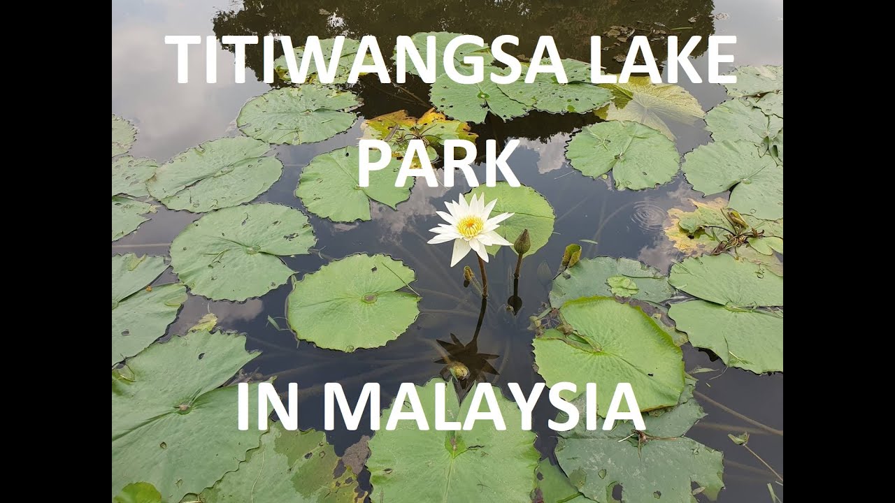 Titiwangsa Lake Park in Kuala Lumpur 🇲🇾| Hidden Gems of KL | Travel vlogs, ch. 174 | UHD | Malaysia