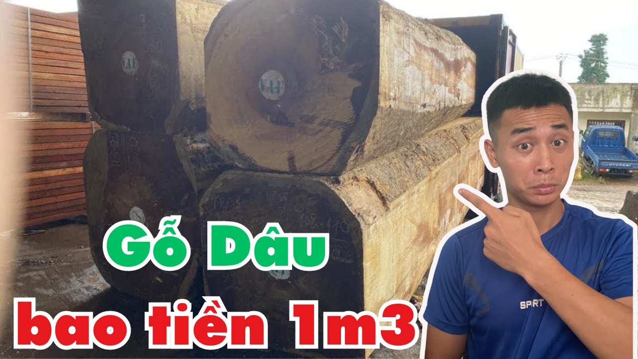 Gỗ D&acirc;u Nam Phi C&oacute; tốt Kh&ocirc;ng, Bao nhiều Tiền 1 Khối |Đồ gỗ Gia Vũ
