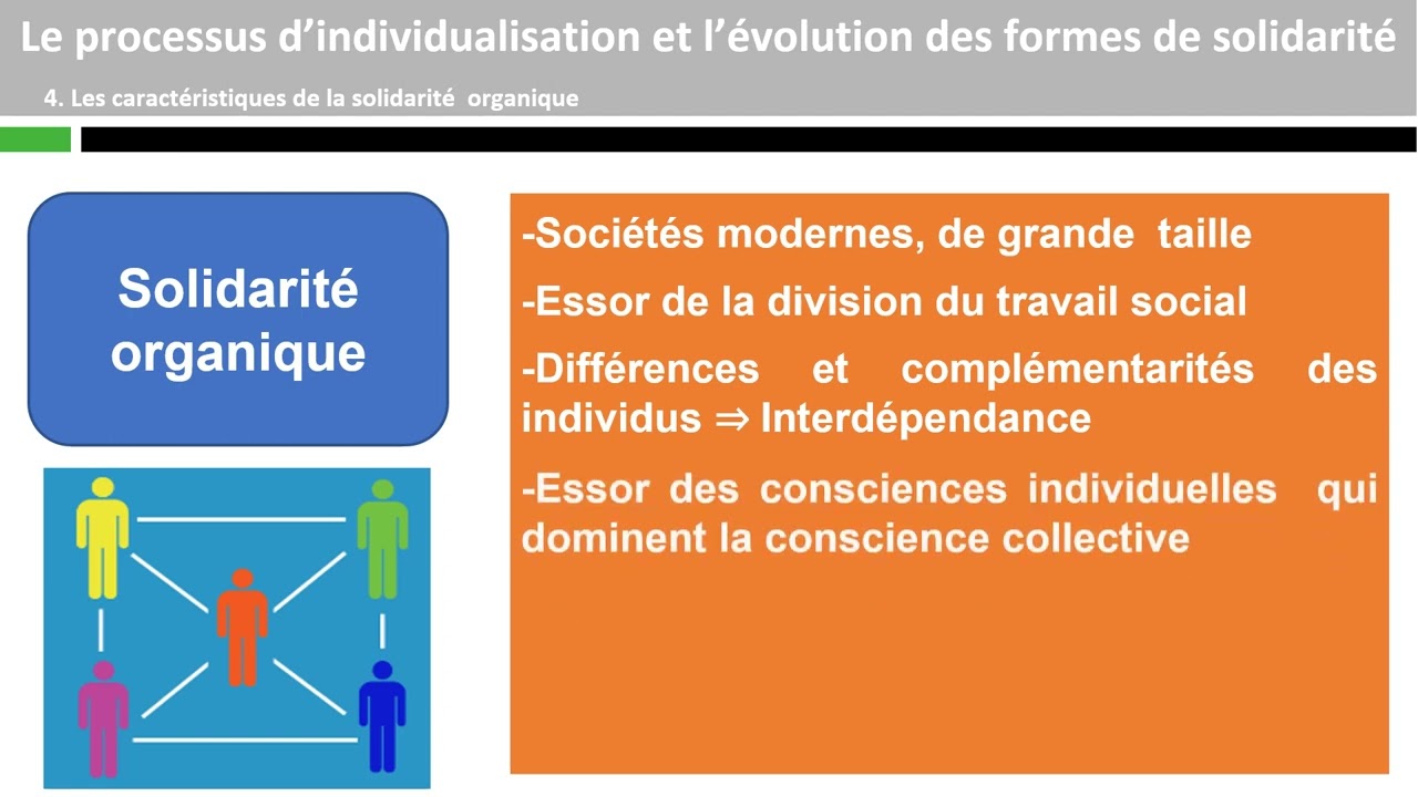Le processus d'individualisation et l'évolution des formes de solidarité