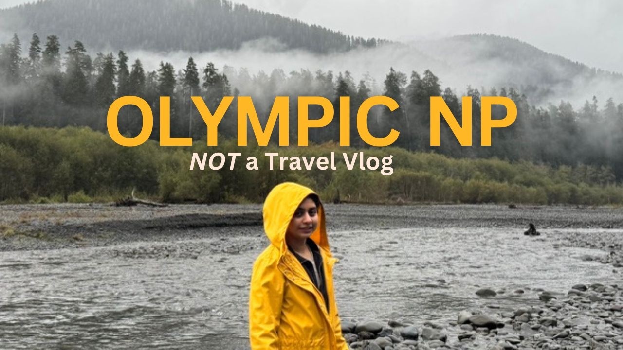 exist with me in Olympic NP in the fall | Twilight aesthetic vlog
