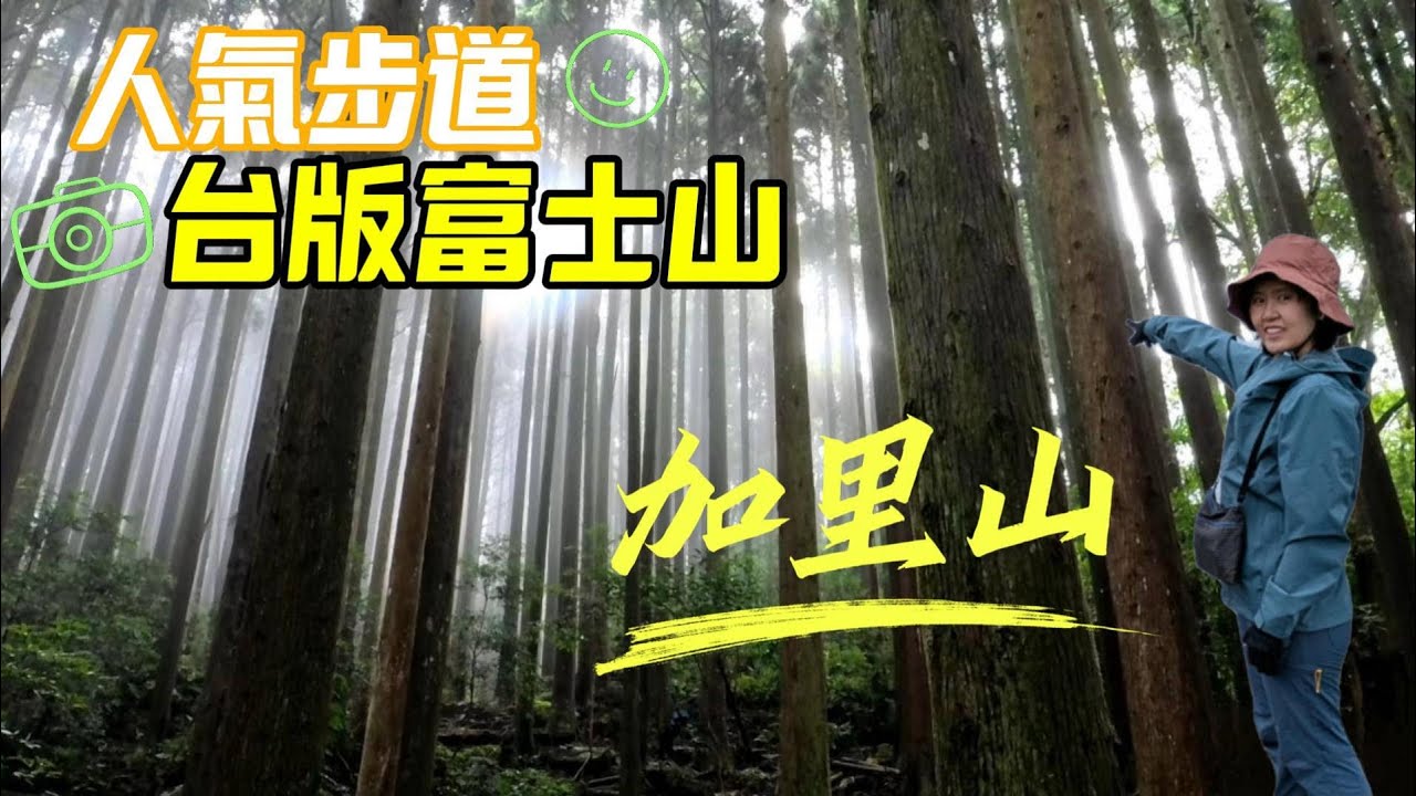 夏季爬山首選，苗栗第一高峰加里山，台版富士山，鐵軌杜鵑一葉蘭，柳杉雲海太平洋，360度絕佳視野，趣味十足的中級山，網美打卡熱門景點。大坪登山口起登。