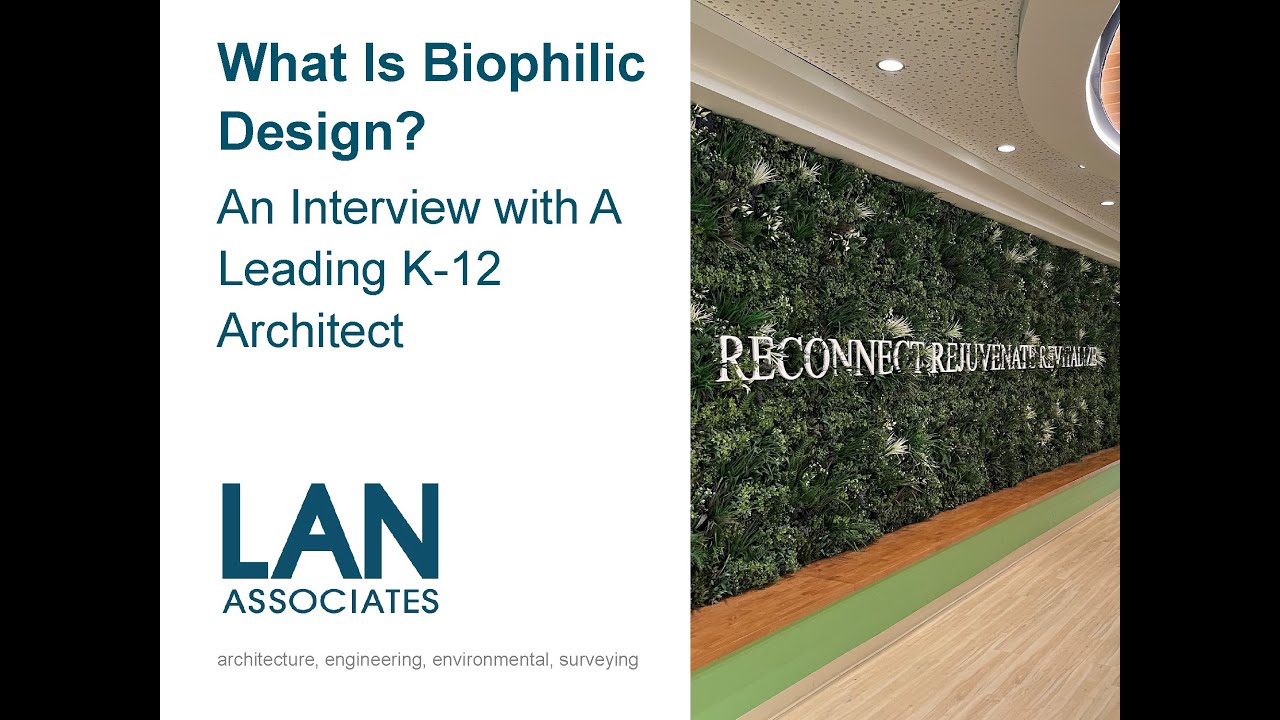 What Is Biophilic Design? An Interview with A Leading K-12 Architect