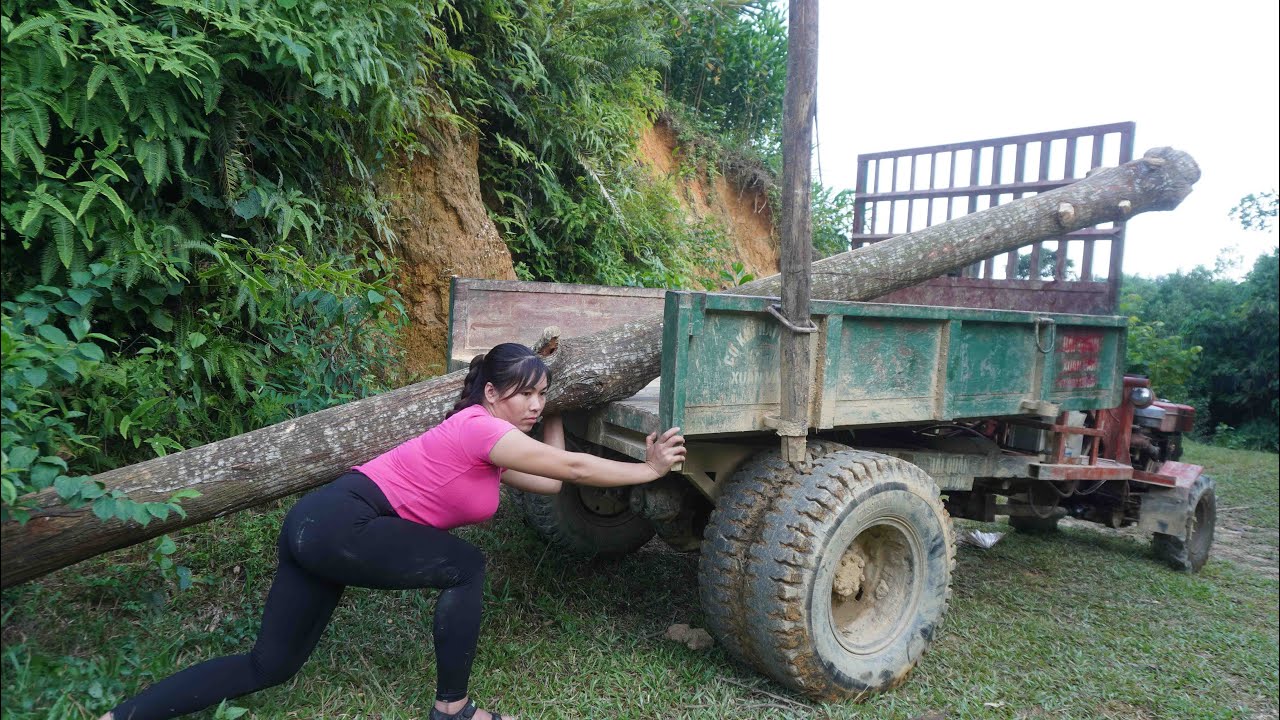 agricultural vehicle transporting timber; female logger was assaulted