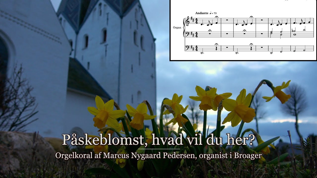 Påskeblomst, hvad vil du her? - Orgelkoral, Marcus Nygaard Pedersen, Broager