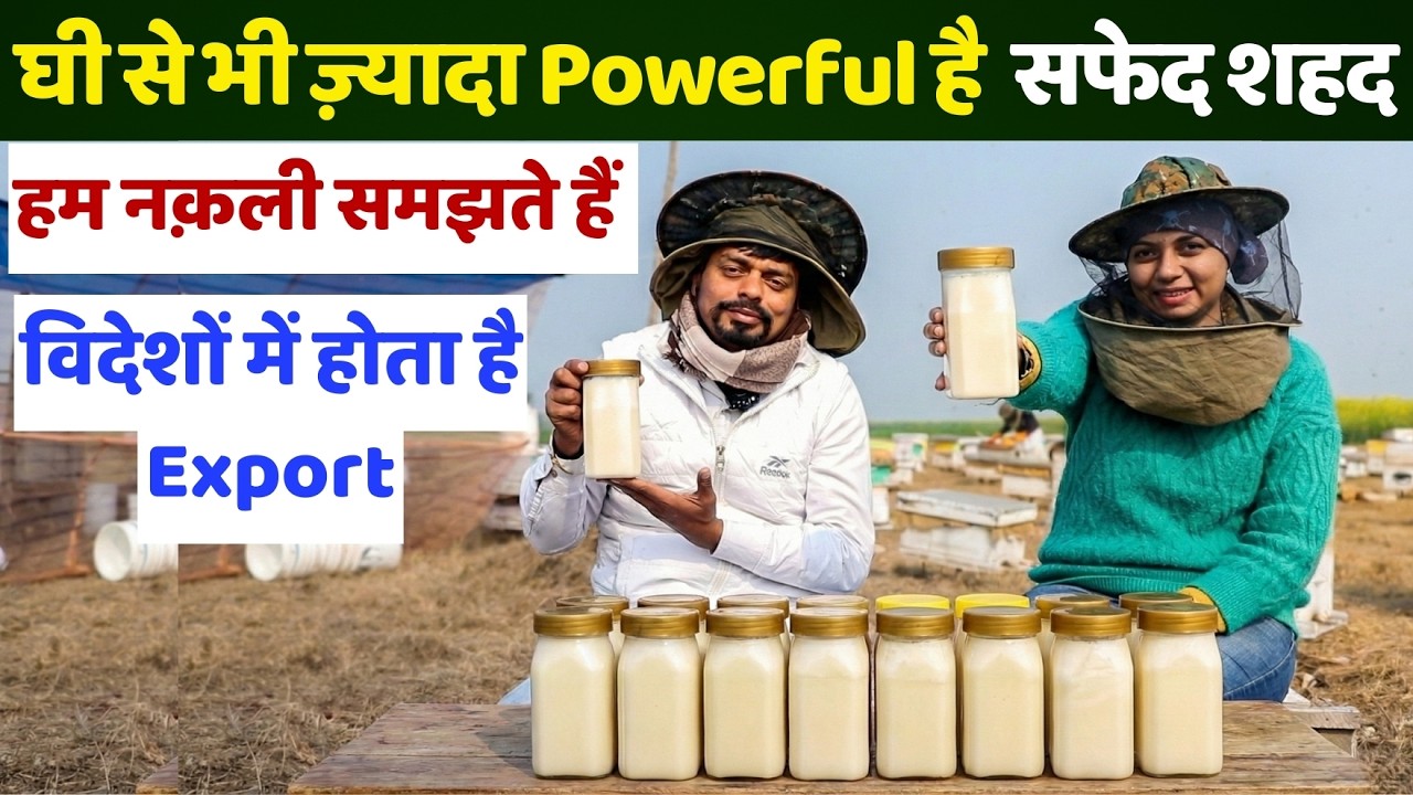 शहद लाल नहीं, सफेद 😱 Mustard Honey का ये सच आपको चौंका देगा, Natural Honey Benefits