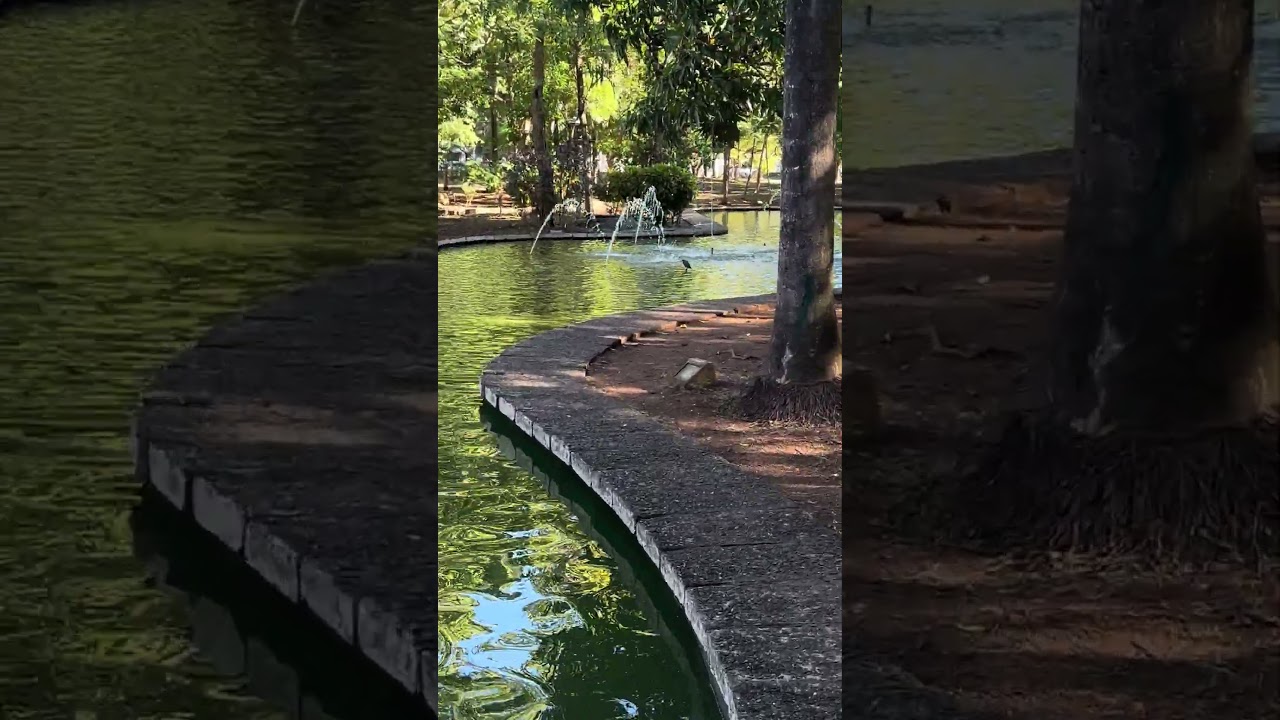 Hoy llegamos al lago del agua verde oscura que de solo verla da miedo 😦