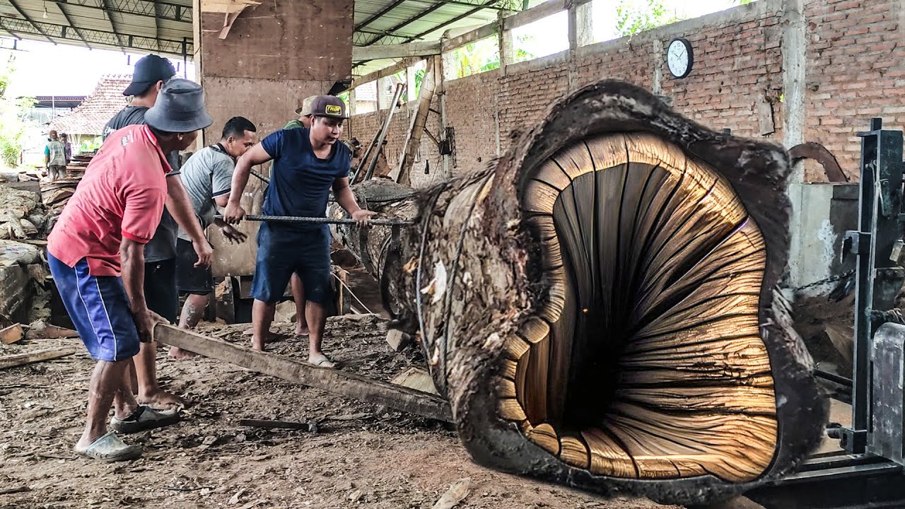 Trembesi Wood Workers Thrive at Melbourne Sawmill