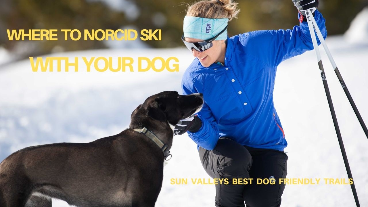Dog-Friendly Nordic Skiing in Sun Valley (Local Guide)