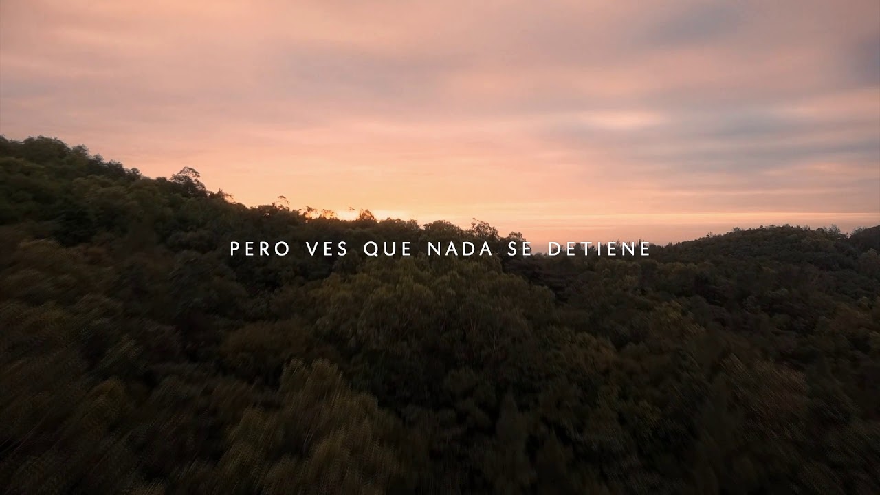 EL BAILE DE LA VIDA (DÍA INTERNACIONAL DE LA DANZA 2020)