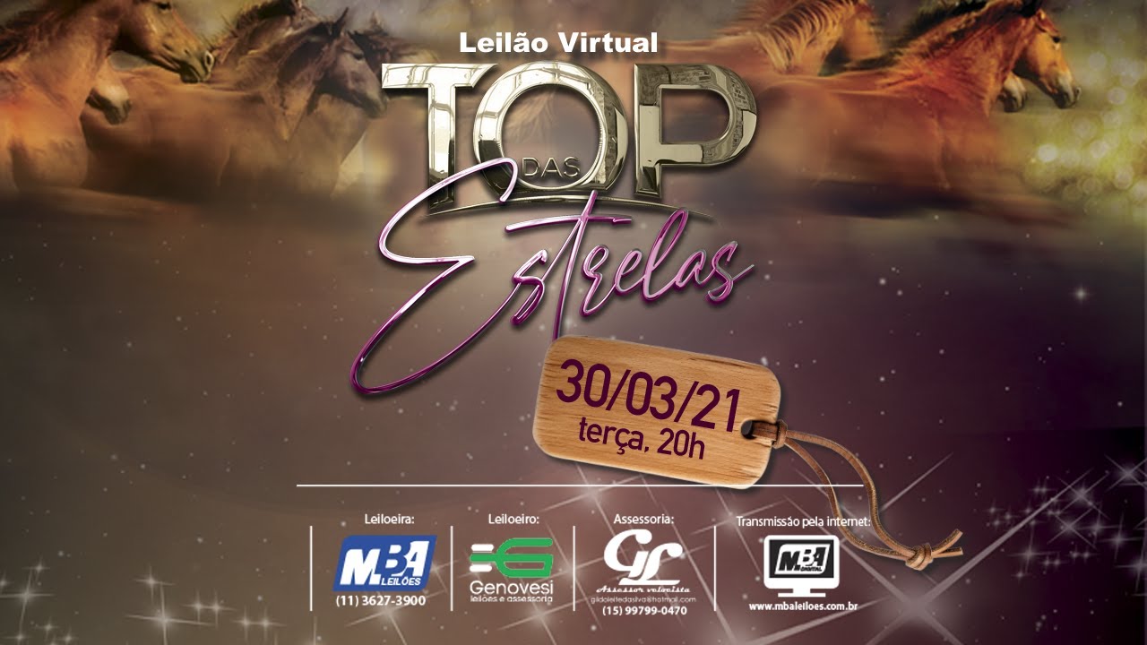 LEILÃO VIRTUAL TOP DAS ESTRELAS QM REPRODUÇÃO
