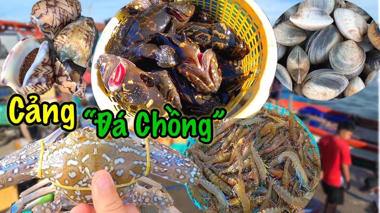 Địa Điểm Mua Hải Sản Giá Gốc Cho Khách Du Lịch Phú Quốc | Cảng Hải Sản “Đá Chồng” | Sơn Phú Quốc