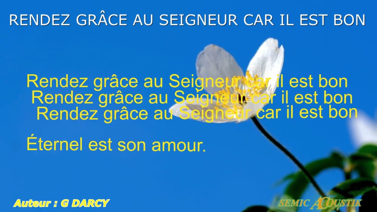 RENDEZ GRÂCE AU SEIGNEUR CAR IL EST BON