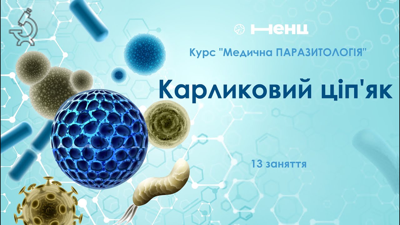Карликовий ціп'як. Гельмінтологія