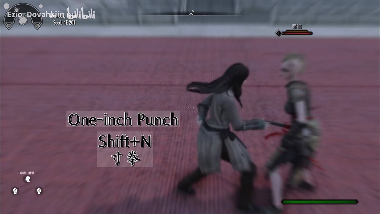 Skyrim - Wingchun - Basics and Showcase