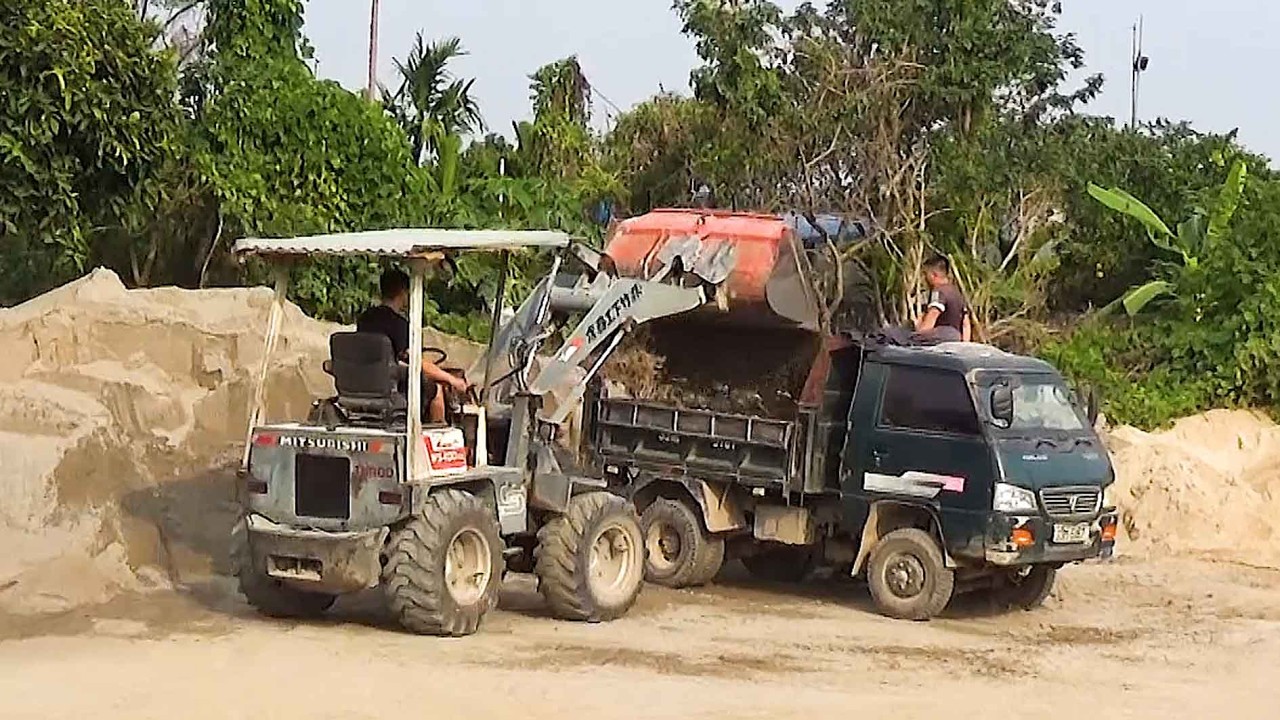 YANMAR excavators digging earth, a combination of excavators and dump trucks at work.