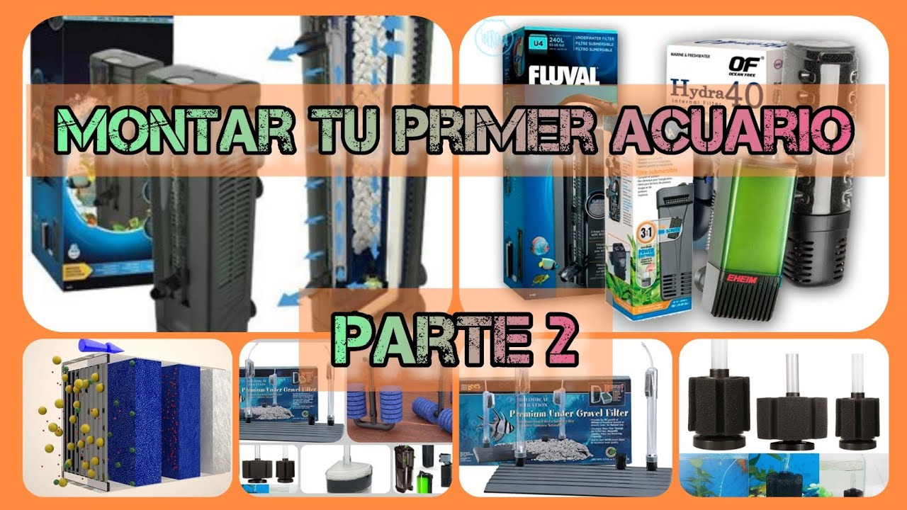 Como montar tu primer acuario Pt2. #acuario #peces #filtracion #acuariofilia