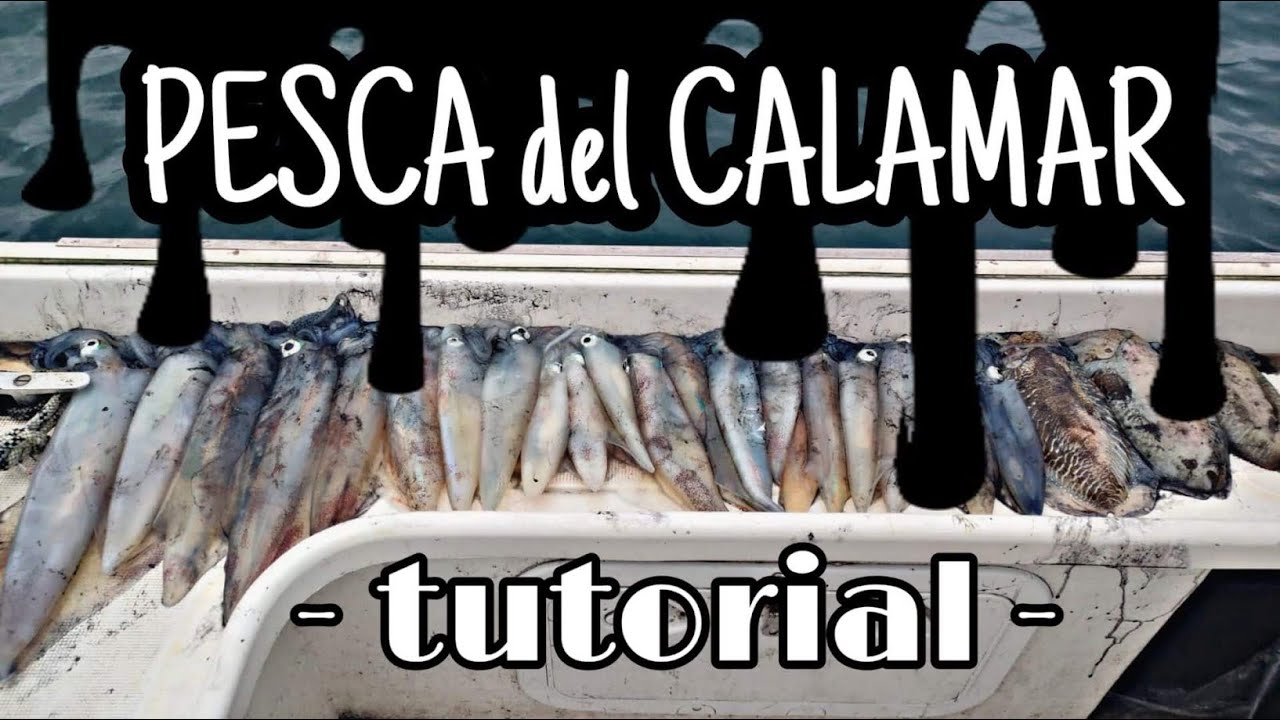Tutorial: Pesca del calamar