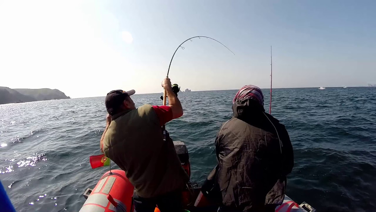 Jornada  de pesca às douradas Youtube