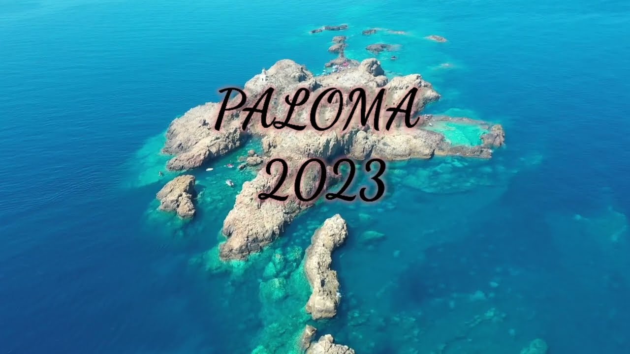 drone paloma 2023 oran ain el turke