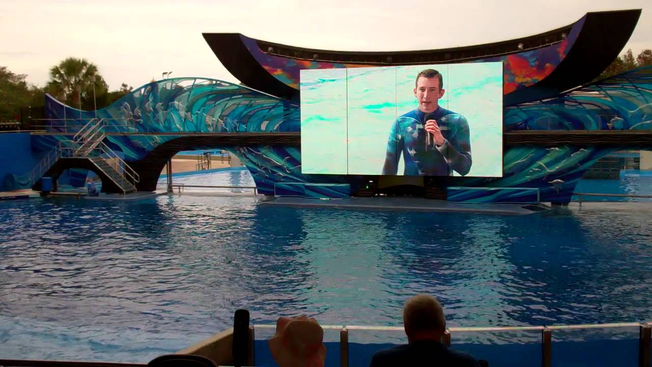 SeaWorld One Ocean