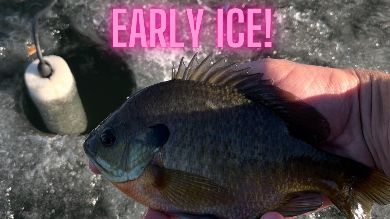 Central Iowa Ice fishing! (2024-2025)