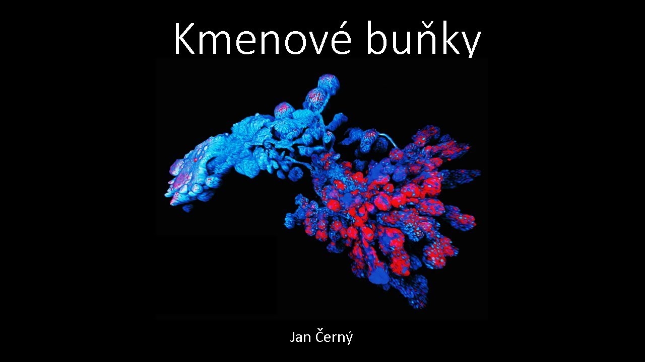 Jan Černý - Kmenové buňky (Pokroky v biologii - být stále mlád, PřF UK 6.4.2019)