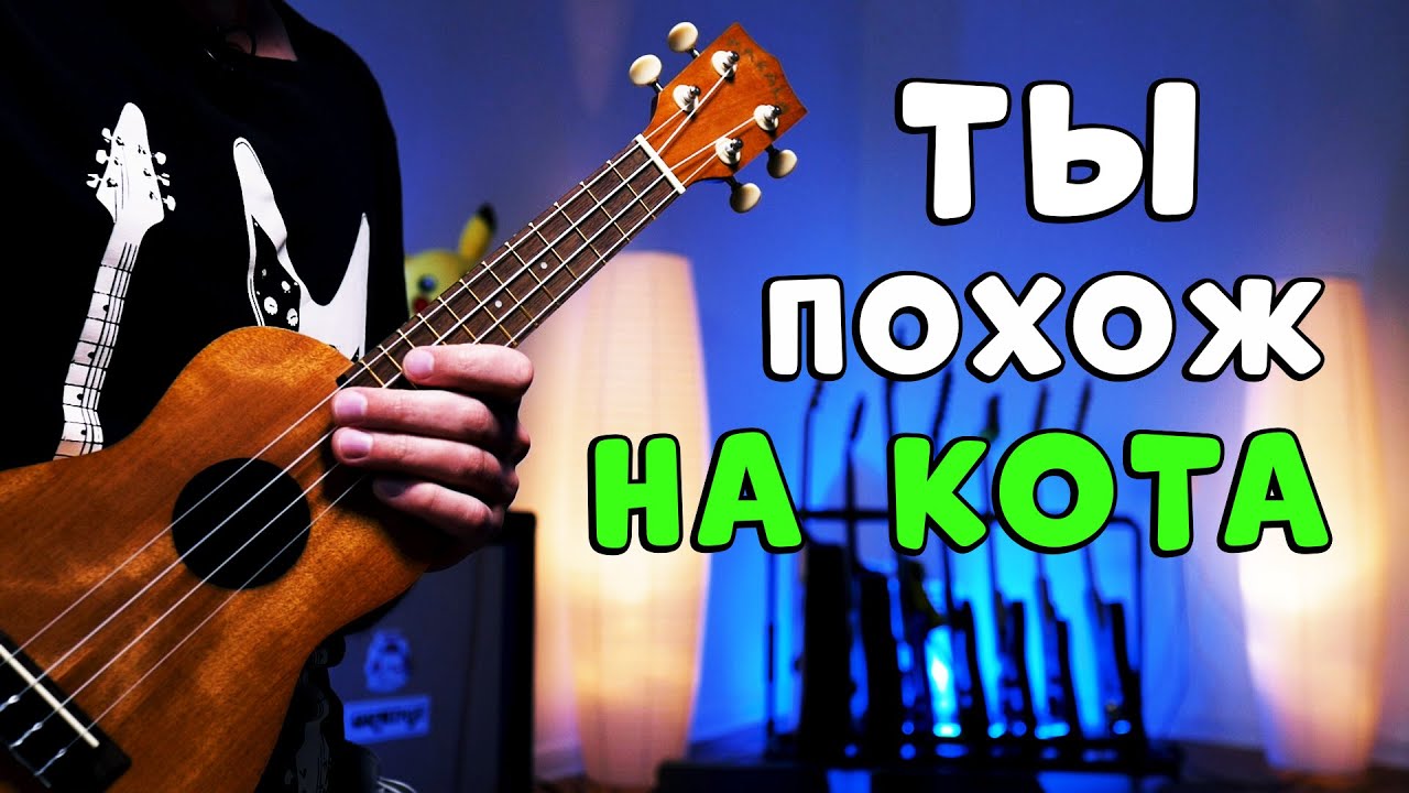 zhanulka - ты похож на кота | разбор на укулеле, как в оригинале